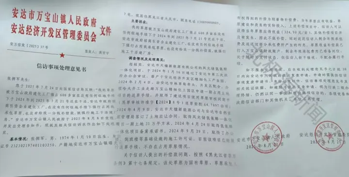 黑龙江安达市：张拥军在曙光村的八年困局